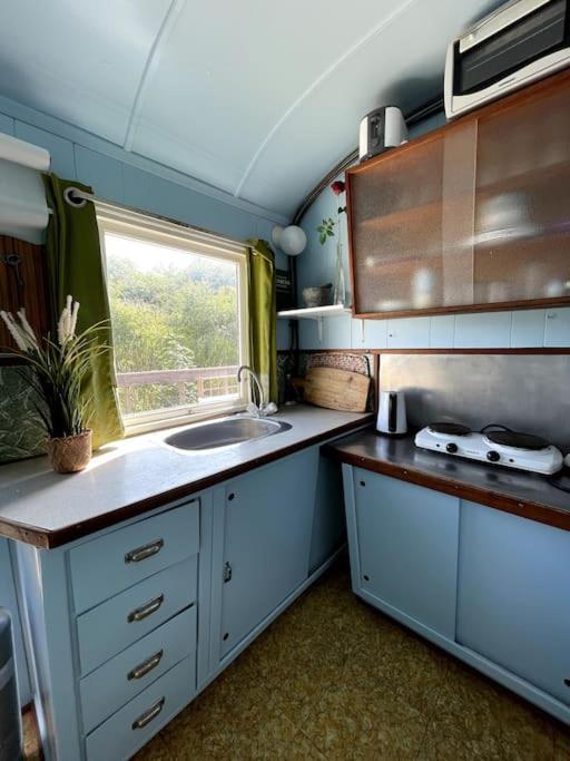 דירות אודנזה Fjordhytten. Rebuild Train Wagon From 1937. מראה חיצוני תמונה